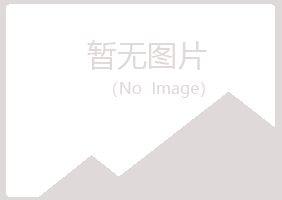 青海夏岚出版有限公司